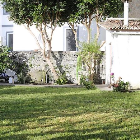 City Center, 200 Meters To Marina, Walk To Everything, Private Yard And Garden ポンタ・デルガダ エクステリア 写真