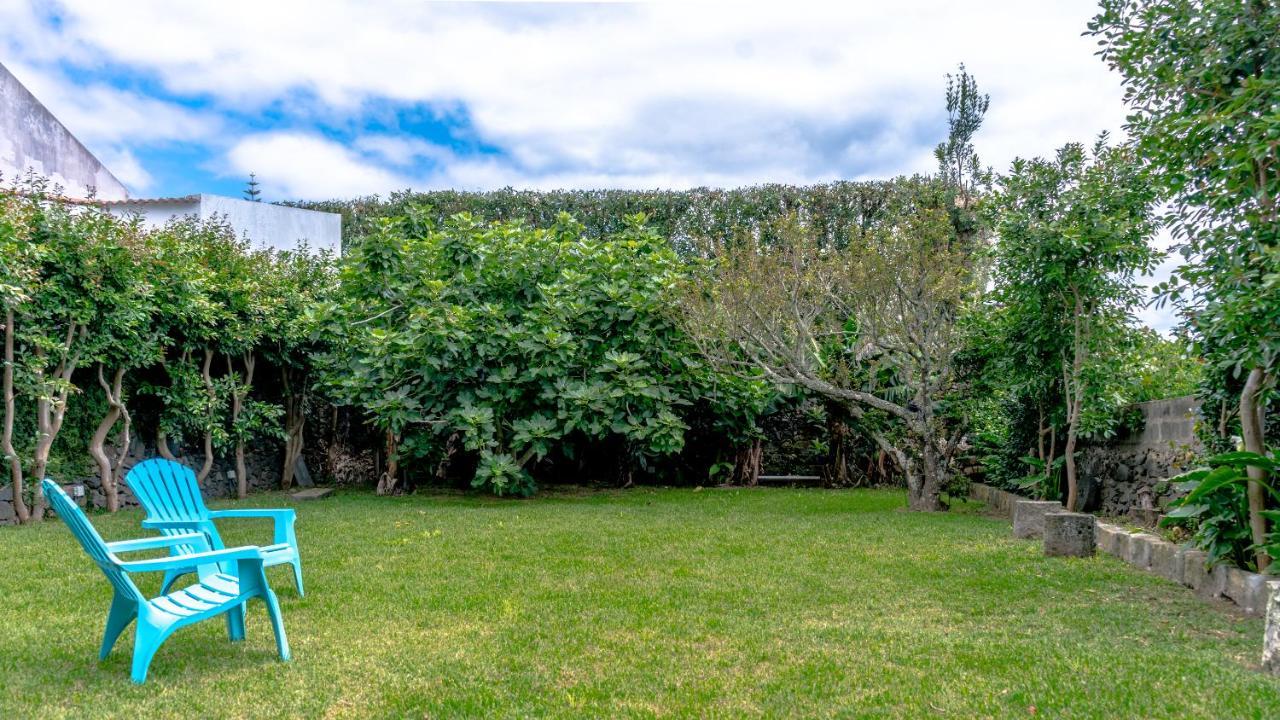 City Center, 200 Meters To Marina, Walk To Everything, Private Yard And Garden ポンタ・デルガダ エクステリア 写真