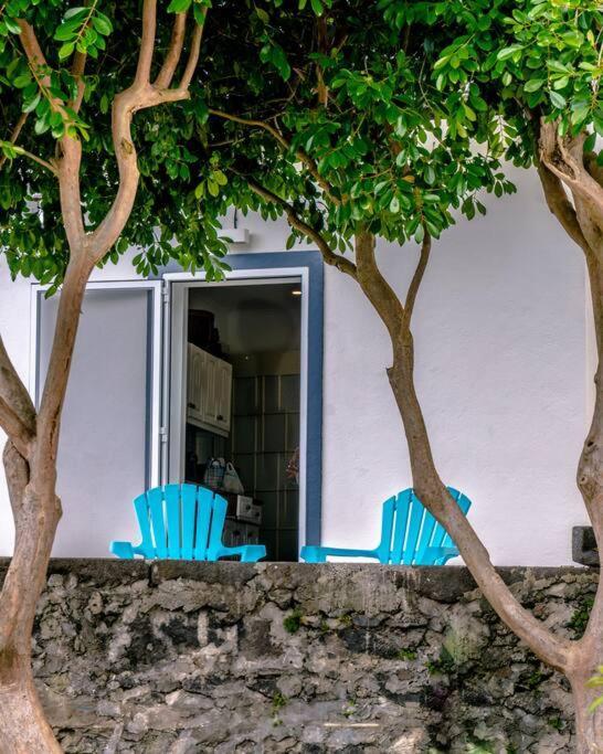 City Center, 200 Meters To Marina, Walk To Everything, Private Yard And Garden ポンタ・デルガダ エクステリア 写真